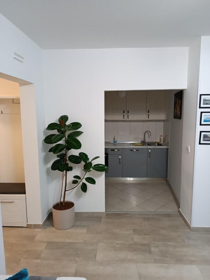 Apartment Lucija Dubrovnik Eksteriør billede